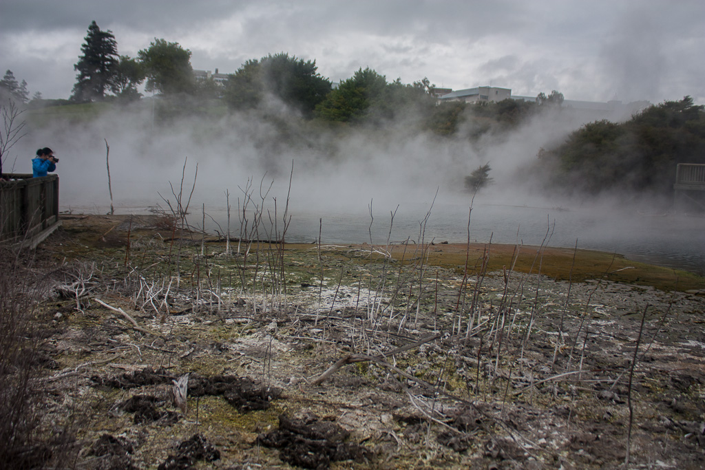 thermal pools in the Rotorua park
